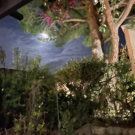 Studio Bandol Avec Jardin Eksteriør bilde